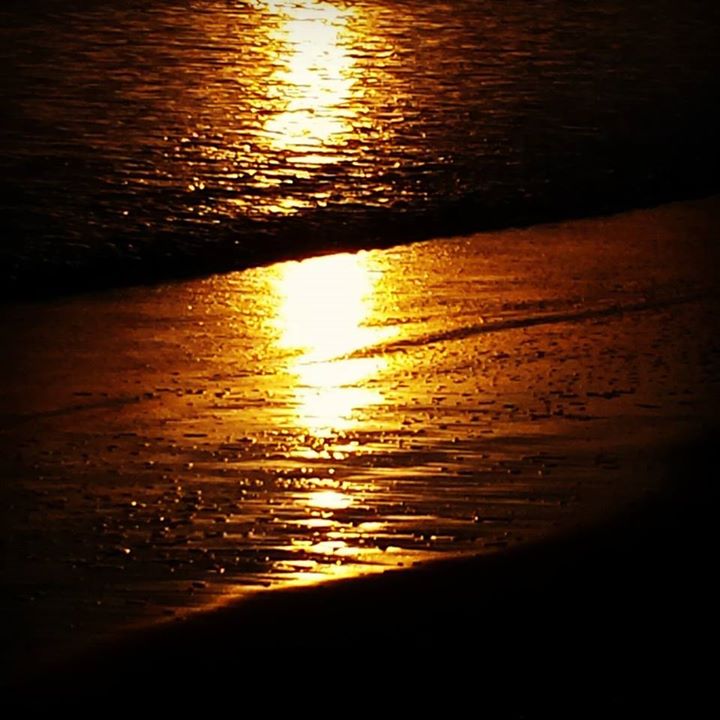 golden light on shore.jpg